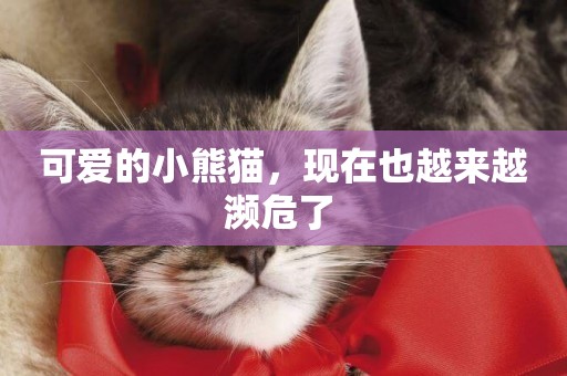 可愛的小熊貓，現在也越來越瀕危了 