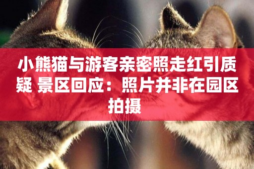 小熊貓與游客親密照走紅引質疑 景區回應：照片并非在園區拍攝 
