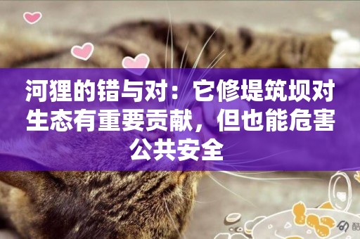 河貍的錯與對：它修堤筑壩對生態有重要貢獻，但也能危害公共安全 