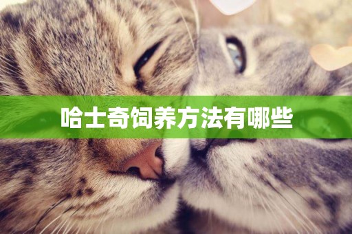 哈士奇飼養方法有哪些
