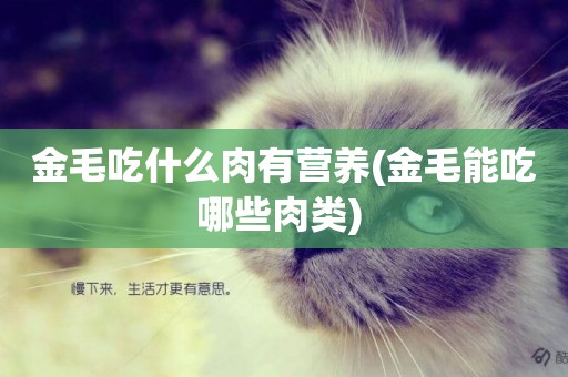 金毛吃什么肉有營養(金毛能吃哪些肉類) 
