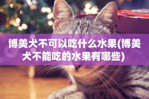 博美犬不可以吃什么水果(博美犬不能吃的水果有哪些) 