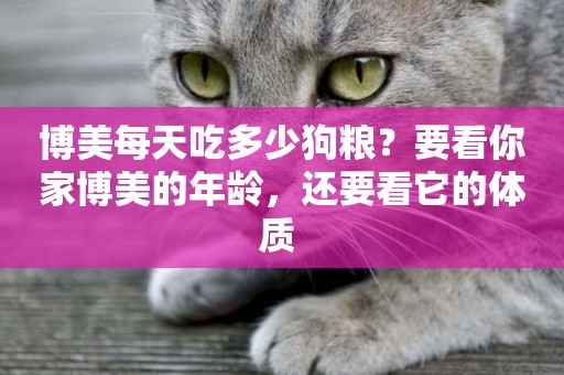 博美每天吃多少狗糧？要看你家博美的年齡，還要看它的體質 