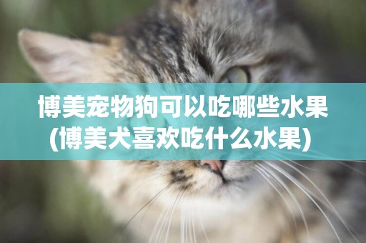 博美寵物狗可以吃哪些水果(博美犬喜歡吃什么水果) 