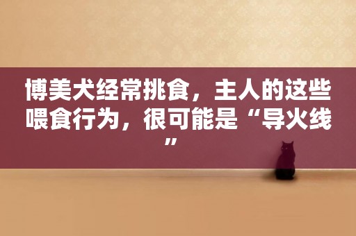 博美犬經常挑食，主人的這些喂食行為，很可能是“導火線” 