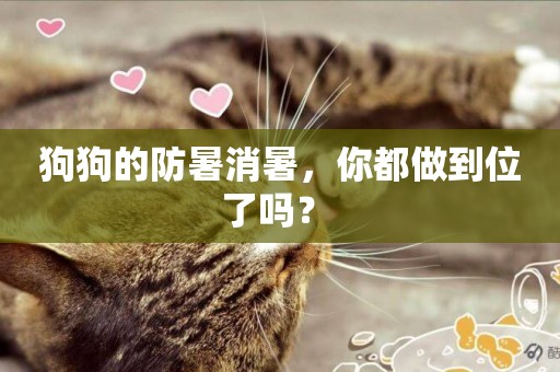 狗狗的防暑消暑，你都做到位了嗎？ 