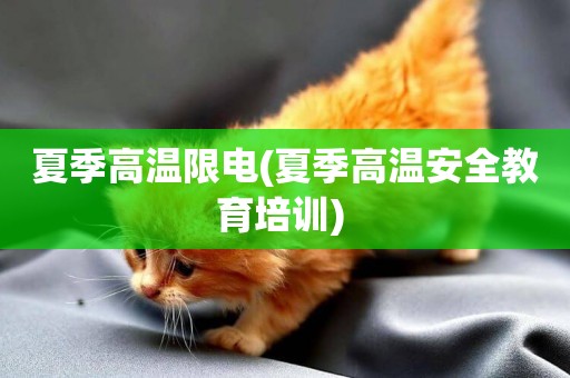 夏季高溫限電(夏季高溫安全教育培訓) 