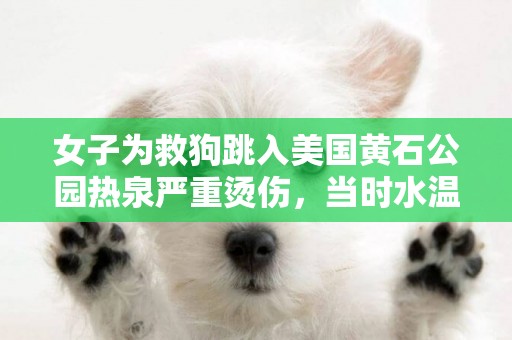 女子為救狗跳入美國黃石公園熱泉嚴重燙傷，當時水溫93度 