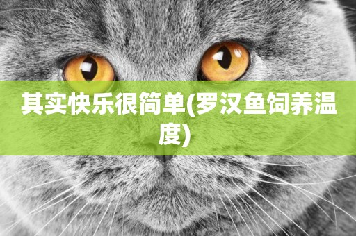 其實快樂很簡單(羅漢魚飼養溫度) 