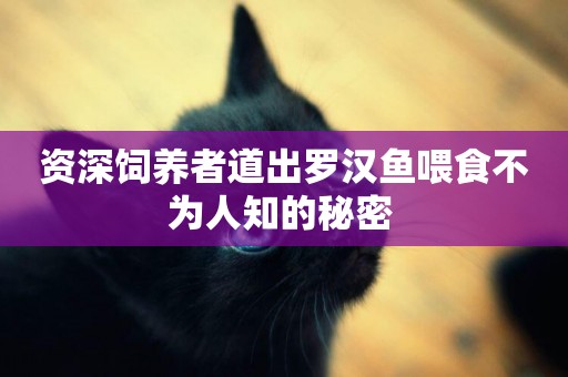 資深飼養者道出羅漢魚喂食不為人知的秘密 