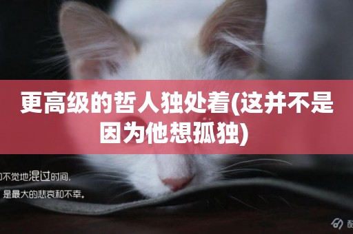 更高級的哲人獨處著(這并不是因為他想孤獨) 