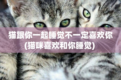 貓跟你一起睡覺不一定喜歡你(貓咪喜歡和你睡覺) 