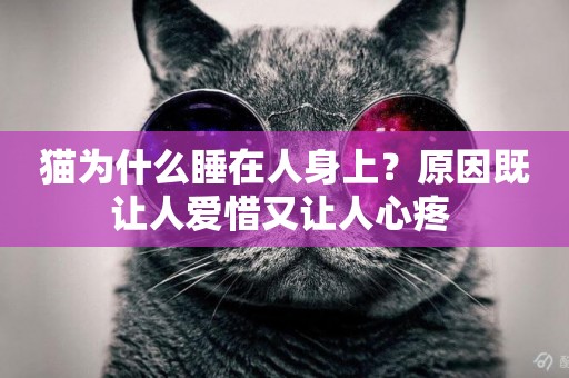 貓為什么睡在人身上？原因既讓人愛惜又讓人心疼 