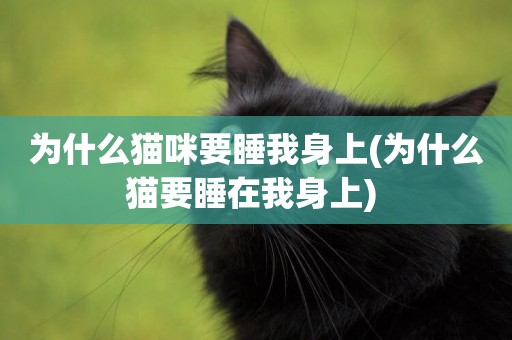 為什么貓咪要睡我身上(為什么貓要睡在我身上) 