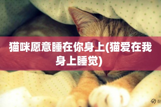 貓咪愿意睡在你身上(貓愛在我身上睡覺) 