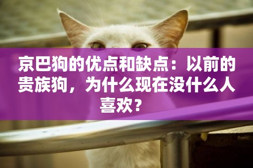 京巴狗的優點和缺點：以前的貴族狗，為什么現在沒什么人喜歡？ 