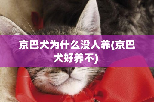 京巴犬為什么沒人養(京巴犬好養不) 