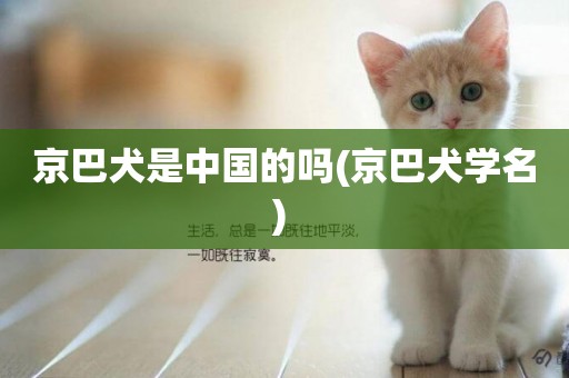 京巴犬是中國的嗎(京巴犬學名) 