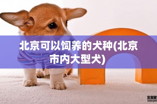 北京可以飼養的犬種(北京市內大型犬) 
