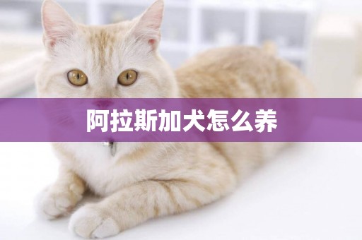 阿拉斯加犬怎么養