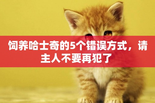 飼養哈士奇的5個錯誤方式，請主人不要再犯了 