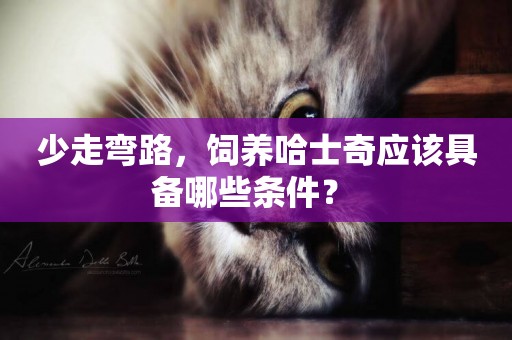 少走彎路，飼養哈士奇應該具備哪些條件？ 
