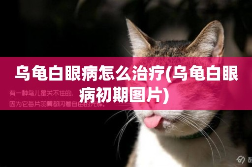 烏龜白眼病怎么治療(烏龜白眼病初期圖片) 