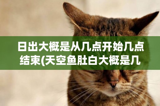 日出大概是從幾點開始幾點結束(天空魚肚白大概是幾點) 