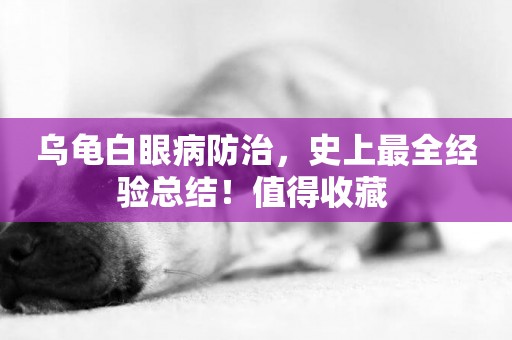 烏龜白眼病防治，史上最全經驗總結！值得收藏 