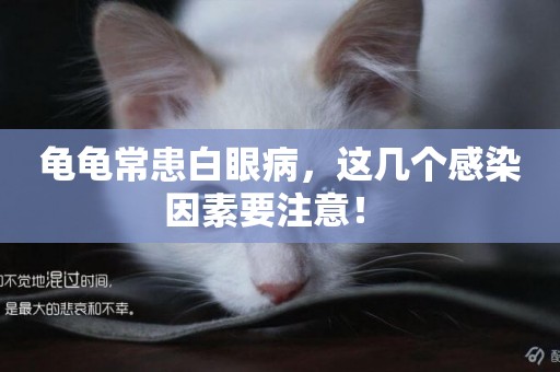 龜龜常患白眼病，這幾個感染因素要注意！ 