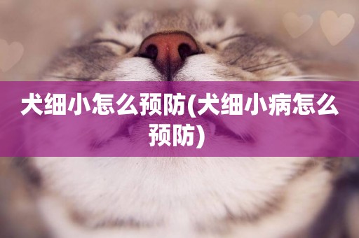犬細小怎么預防(犬細小病怎么預防) 