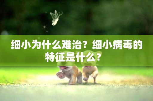 細小為什么難治？細小病毒的特征是什么？ 