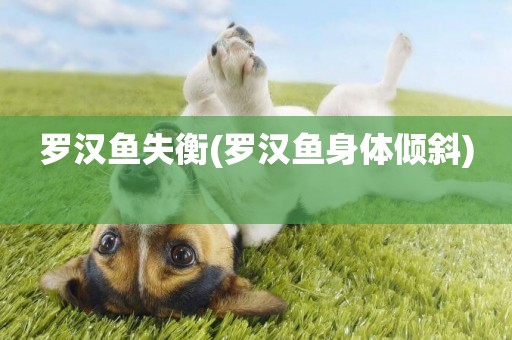 羅漢魚失衡(羅漢魚身體傾斜) 