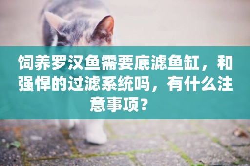飼養羅漢魚需要底濾魚缸，和強悍的過濾系統嗎，有什么注意事項？ 
