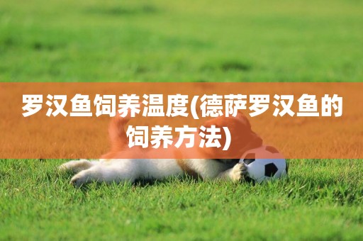 羅漢魚飼養溫度(德薩羅漢魚的飼養方法) 
