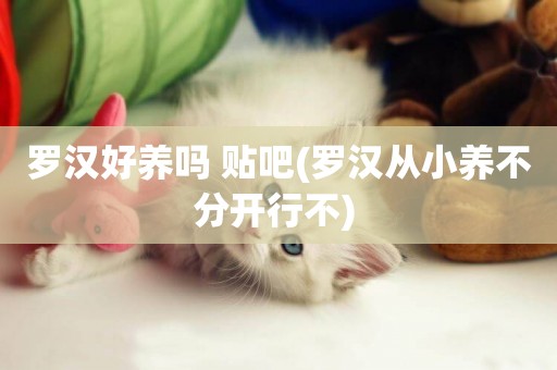 羅漢好養嗎 貼吧(羅漢從小養不分開行不) 