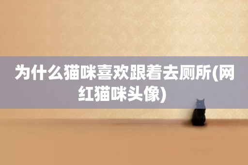 為什么貓咪喜歡跟著去廁所(網紅貓咪頭像) 