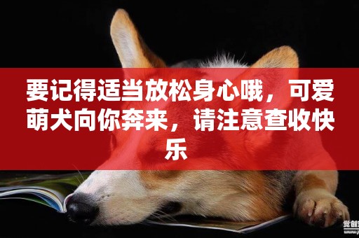 要記得適當放松身心哦，可愛萌犬向你奔來，請注意查收快樂 