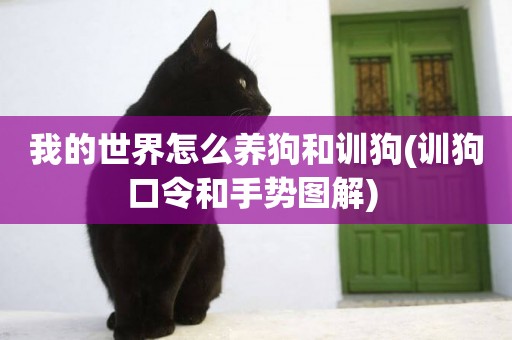 我的世界怎么養狗和訓狗(訓狗口令和手勢圖解) 