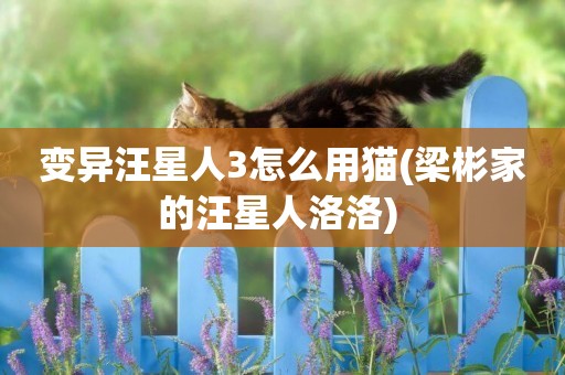 變異汪星人3怎么用貓(梁彬家的汪星人洛洛) 