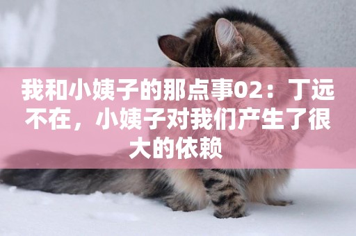 我和小姨子的那點事02：丁遠不在，小姨子對我們產生了很大的依賴 