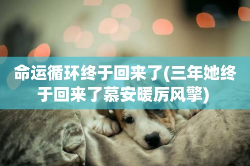 命運循環終于回來了(三年她終于回來了慕安暖厲風擎) 