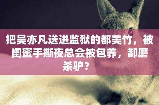把吳亦凡送進監獄的都美竹，被閨蜜手撕夜總會被包養，卸磨殺驢？ 
