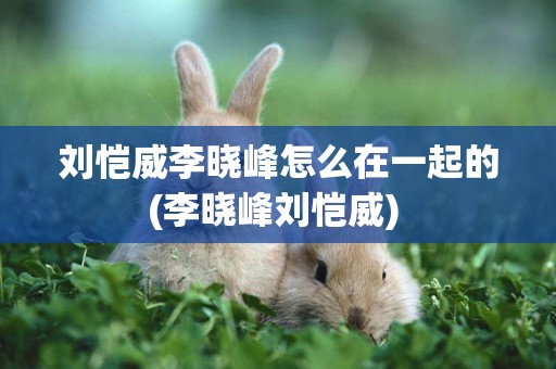 劉愷威李曉峰怎么在一起的(李曉峰劉愷威) 