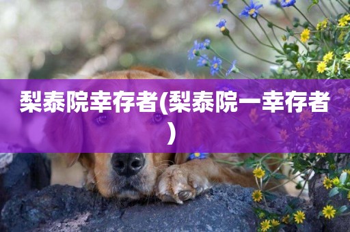 梨泰院幸存者(梨泰院一幸存者) 