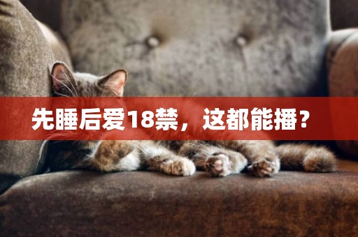 先睡后愛18禁，這都能播？ 