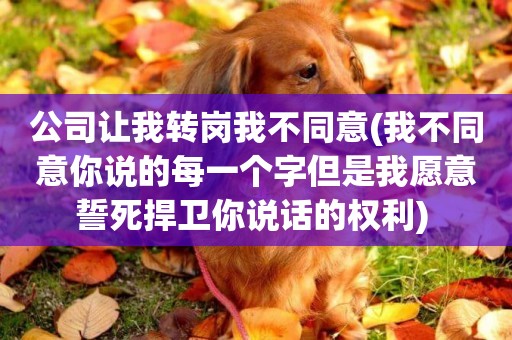 公司讓我轉崗我不同意(我不同意你說的每一個字但是我愿意誓死捍衛你說話的權利) 