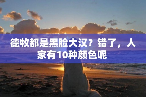 德牧都是黑臉大漢？錯了，人家有10種顏色呢 