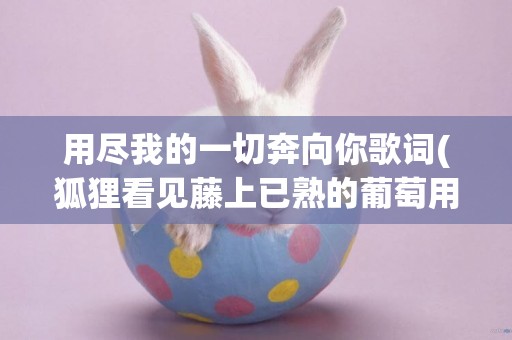 用盡我的一切奔向你歌詞(狐貍看見藤上已熟的葡萄用盡方法弄不到嘴里只好放棄續寫) 