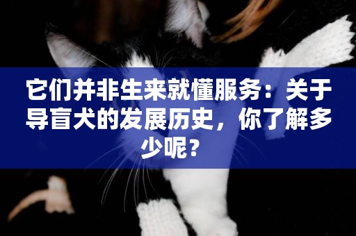 它們并非生來就懂服務：關于導盲犬的發展歷史，你了解多少呢？ 